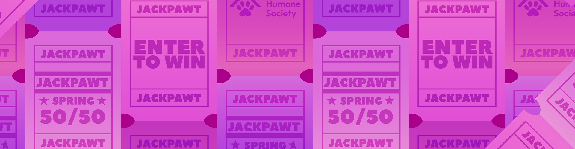 banner image