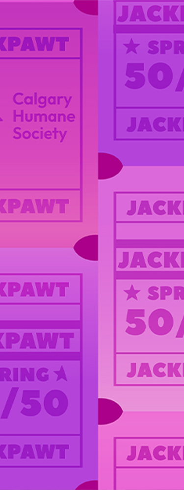 banner image